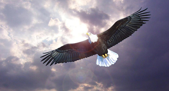 yl6809永利(集团)有限公司官网