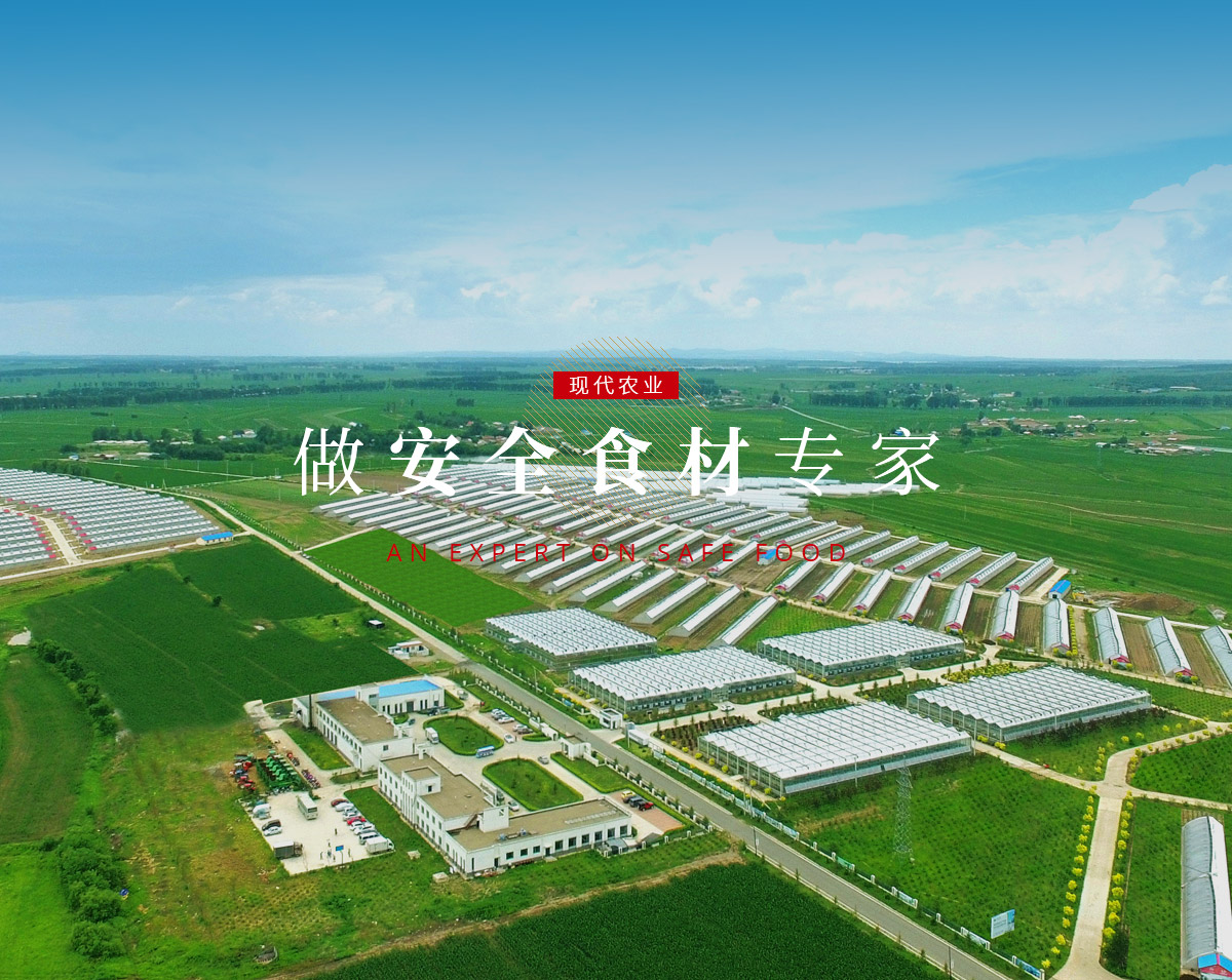 yl6809永利(集团)有限公司官网