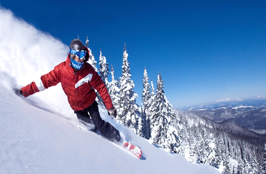 yl6809永利(集团)有限公司官网